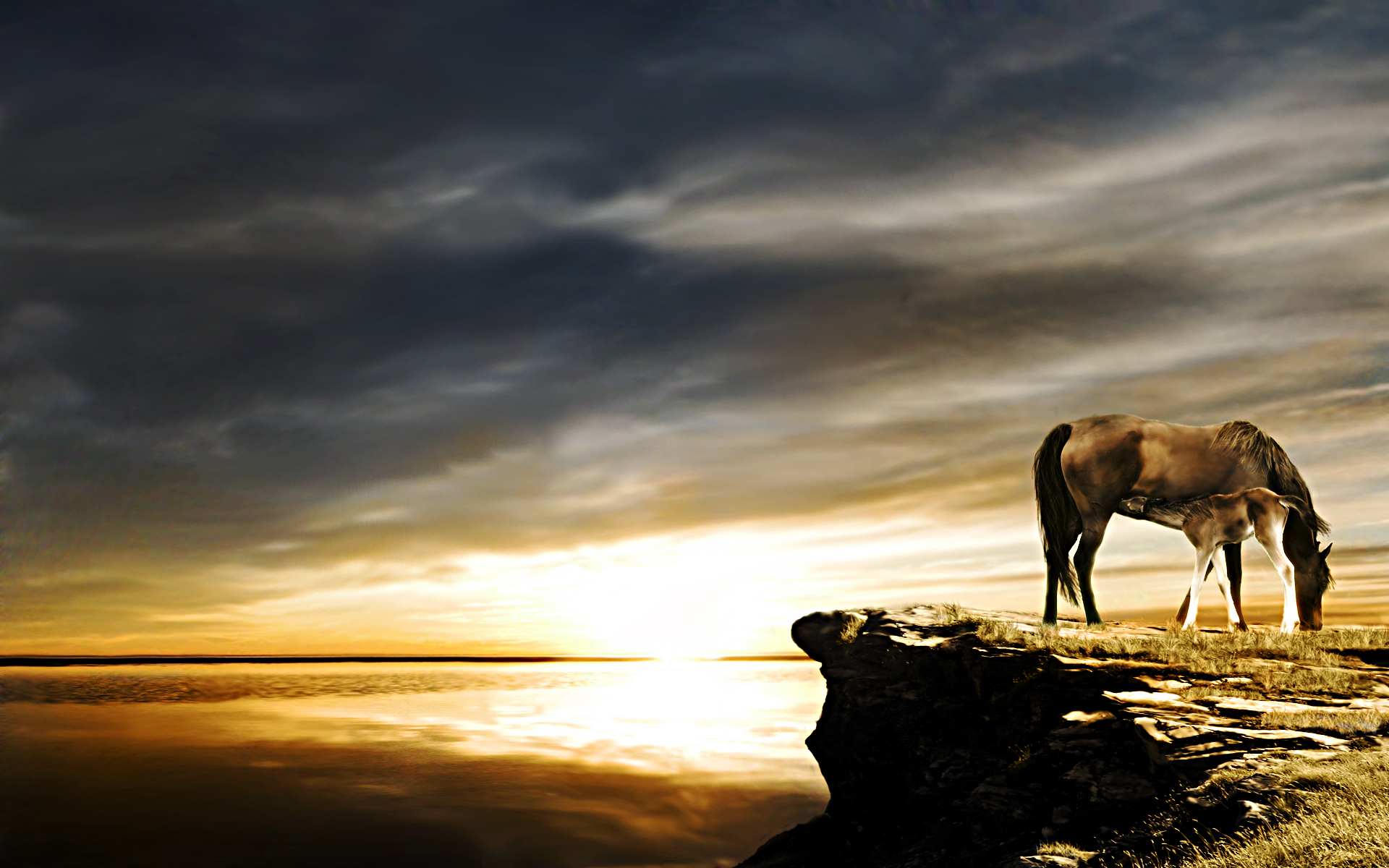Pin Wild Horses Wallpaper In Desktop Background Category On