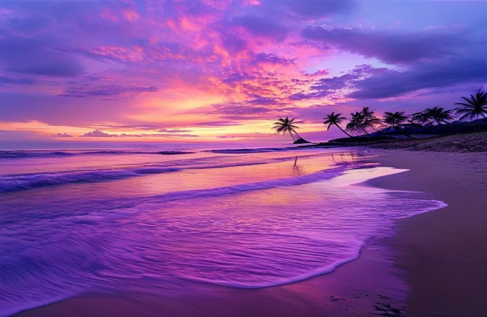 Purple Beach Wallpaper
