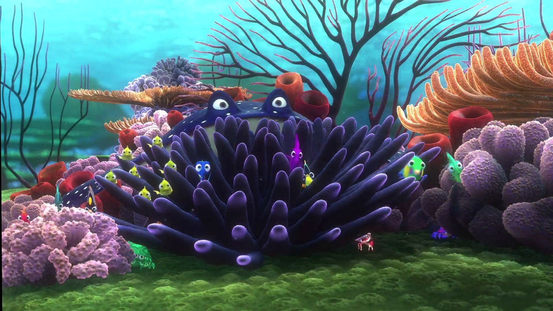 HD Nemo Wallpaper