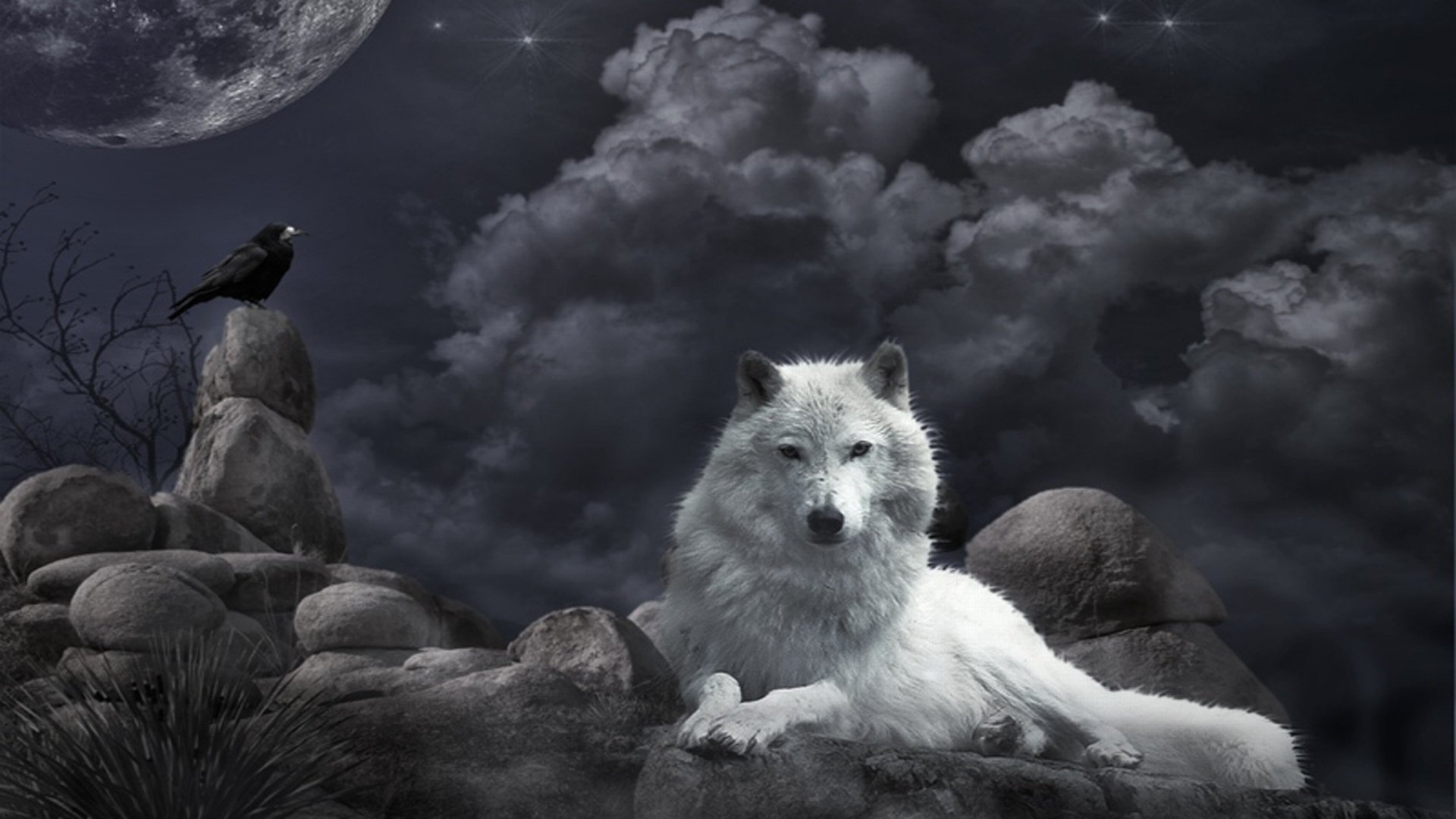 Wolf Dark Gothic Wallpaper Background