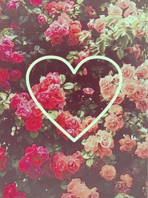 Wallpaper Background iPhone Android Heart Love Flower Floral Red Pink