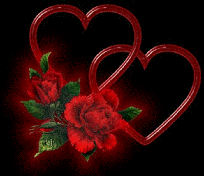 Love Red Rose Wallpaper Refreshrose Spot