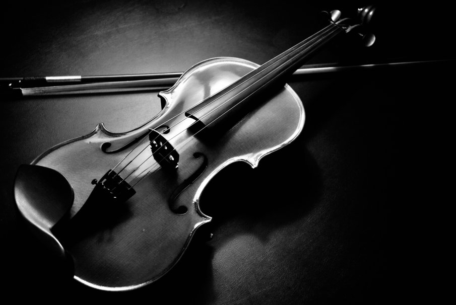 Brown and black violin notes violin strings white background journal  HD wallpaper  Wallpaperbetter