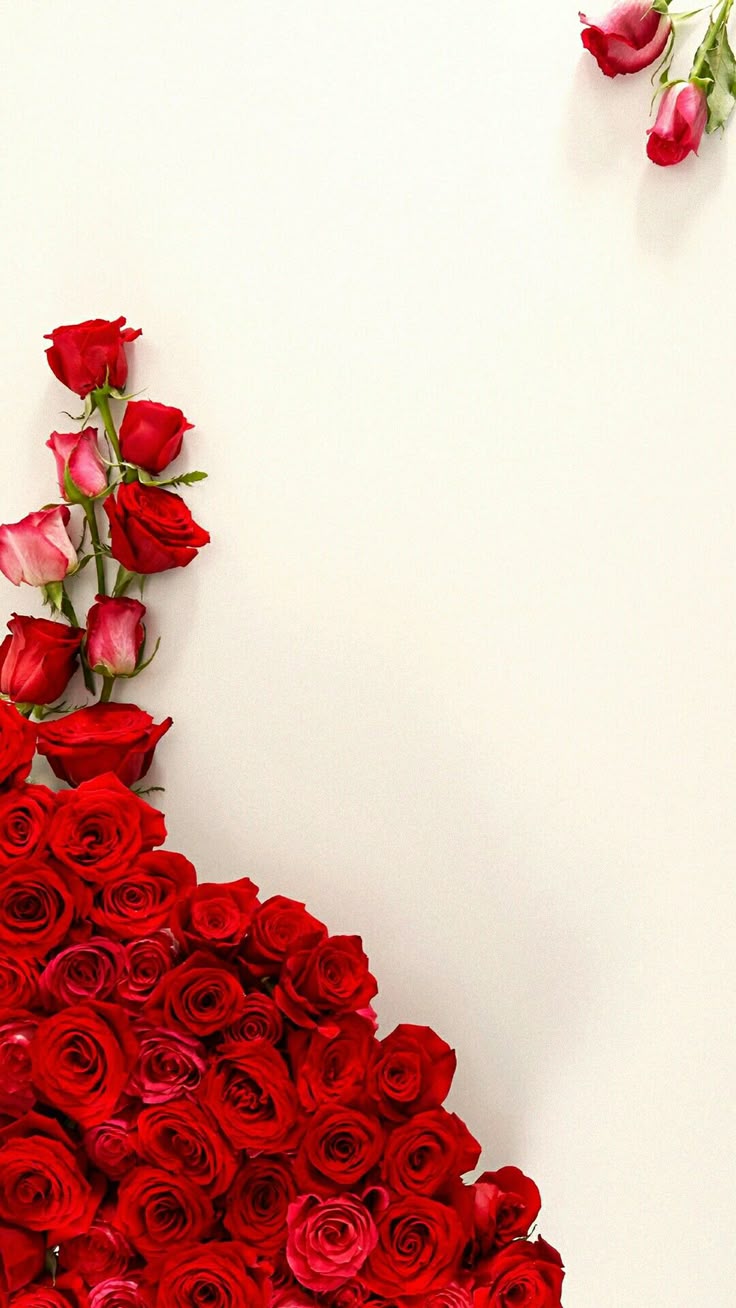 On Aesthetic Wallpaper