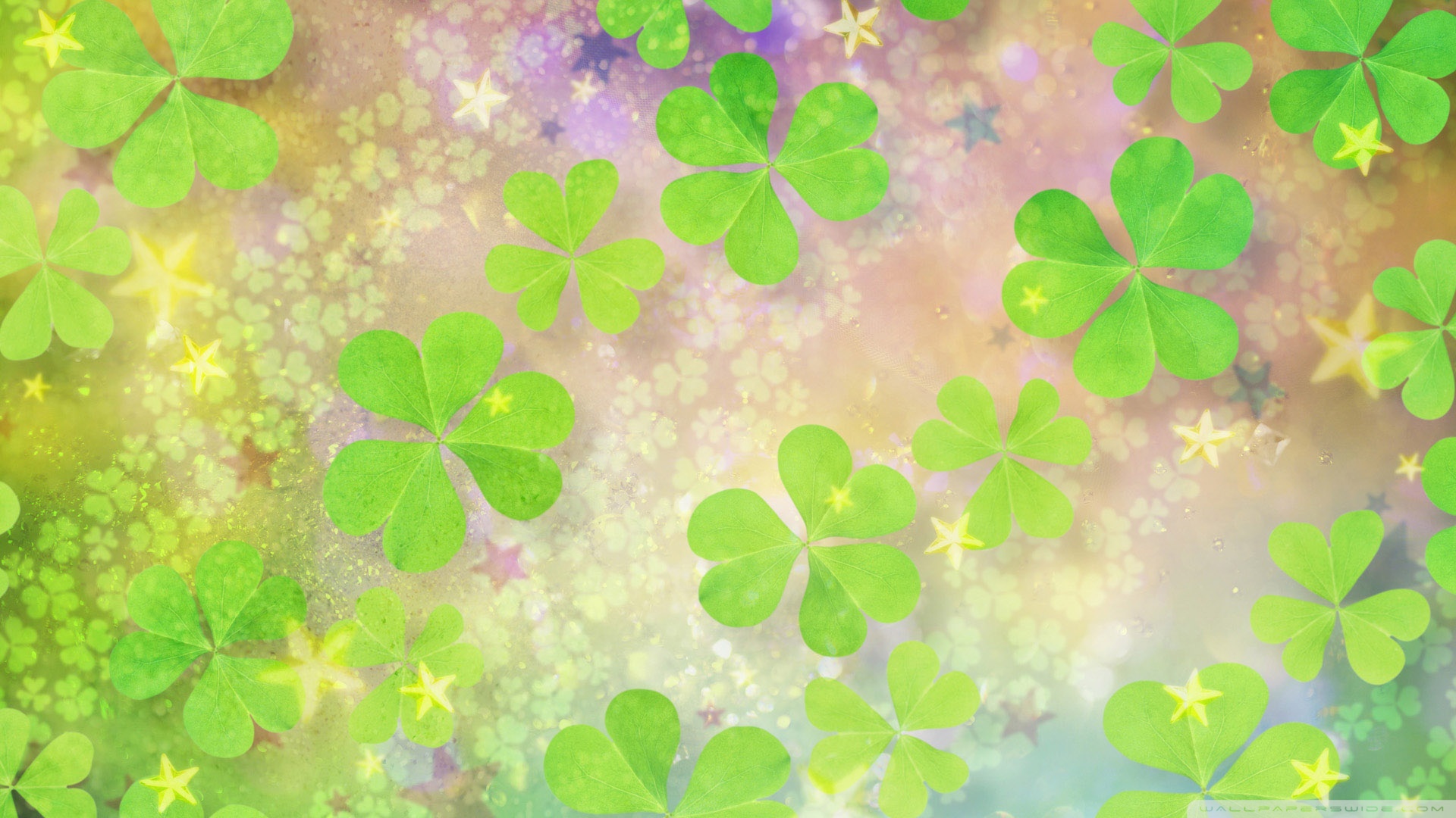 Clover Desktop Background Wallpaper