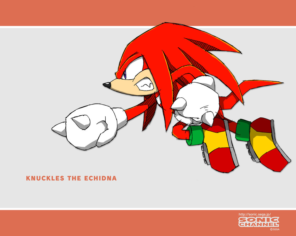 Knuckles The Echidna Wallpaper By Bloomsama