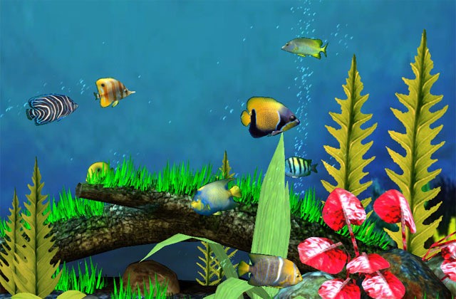thoughts on LIVE AQUARIUM SCREENSAVER FREE DOWNLOAD