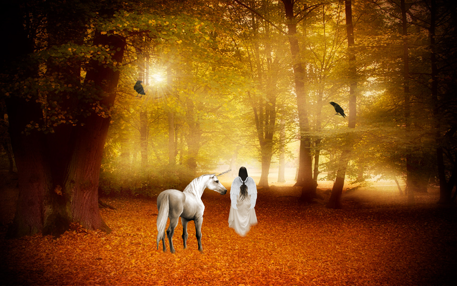 Horse Magical Animal Angel Fairy Autumn Forest G Wallpaper Background