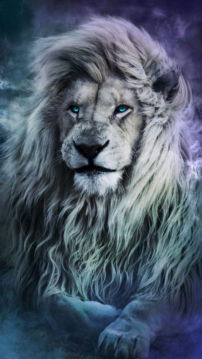 Animal Wallpaper iPhone Lion