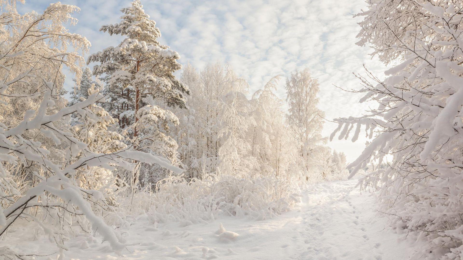 Beautiful Snowy Russian Winter HD Wallpaper Volganga