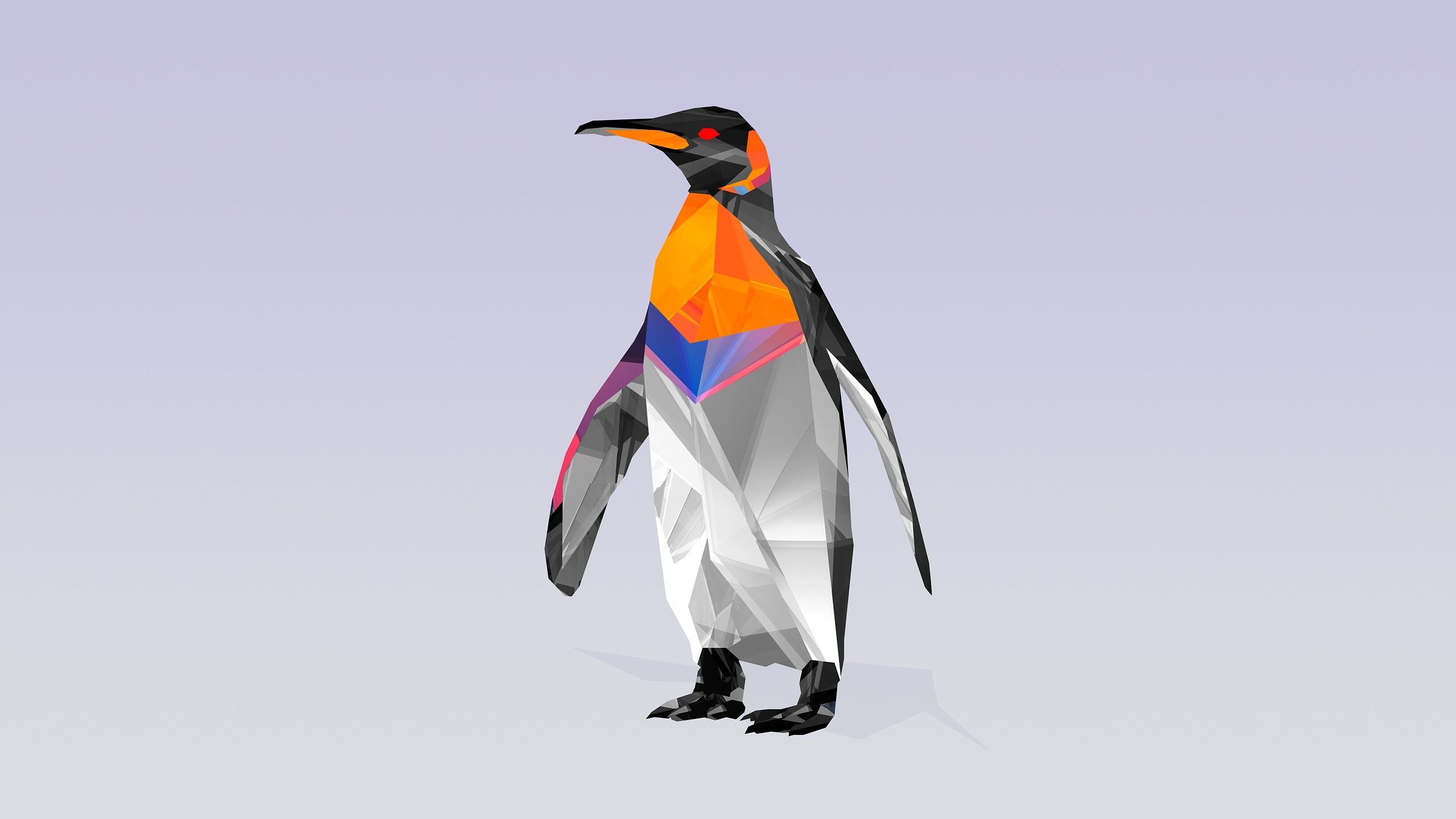 Facets Google Search Penguin Wallpaper Penguins Minimalist