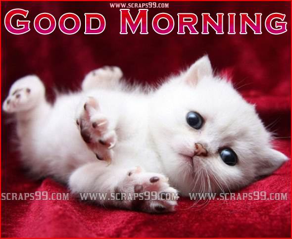 Cute Good Morning Pictures Morni