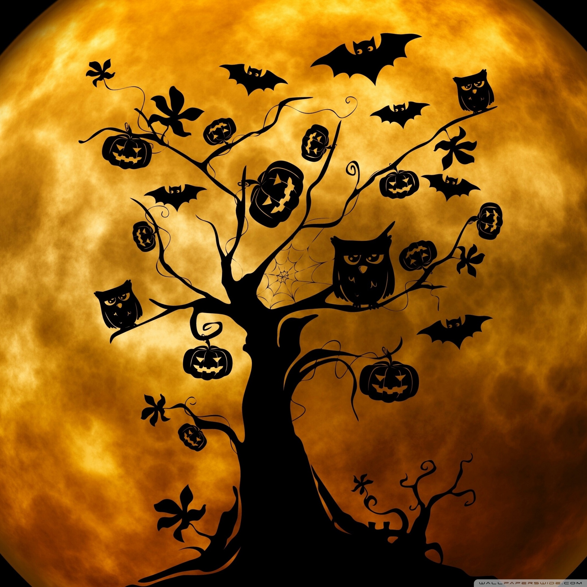 Halloween Owls And Bats Orange 4k HD Desktop Wallpaper For