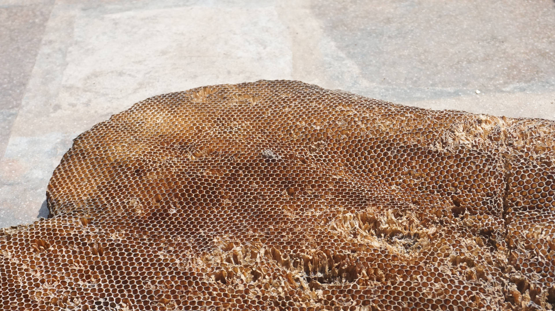 Honeycomb Wallpaper