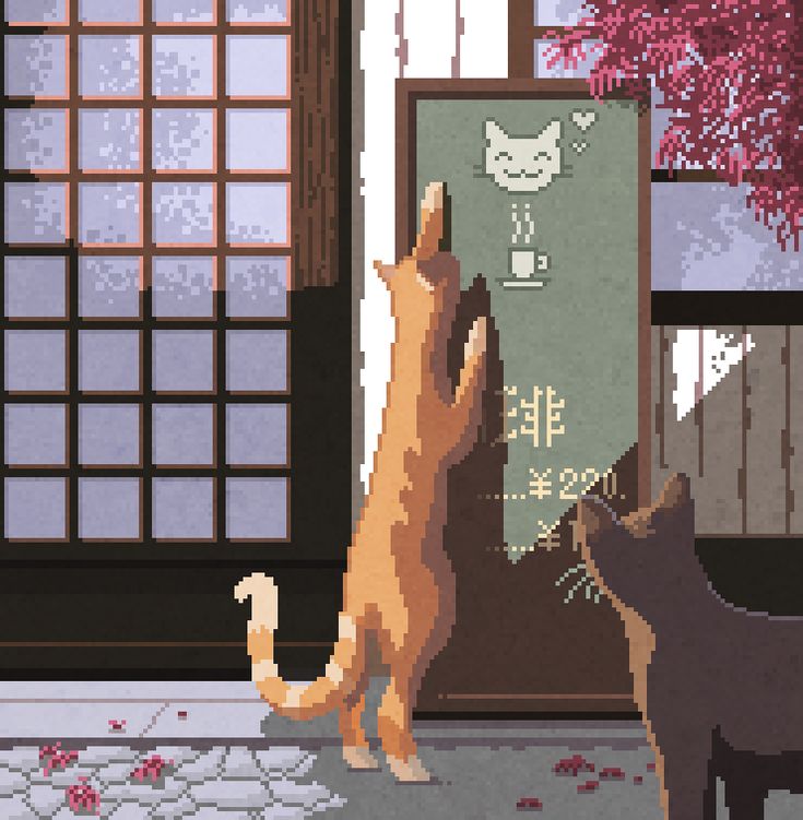Octavi Navarro Anime Caf Background Cat Art Wallpaper