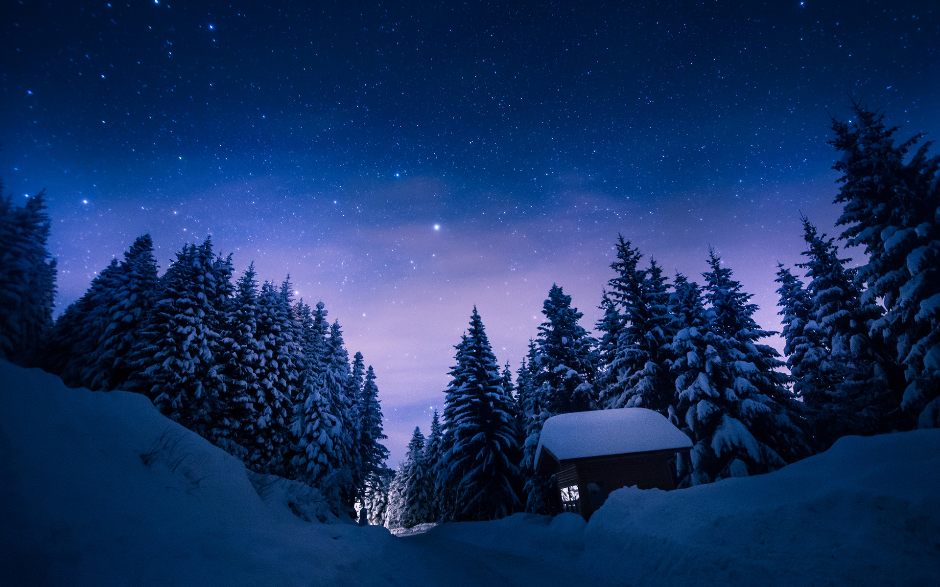 Trees Snow Winter Night Stars Cabin Path Trail