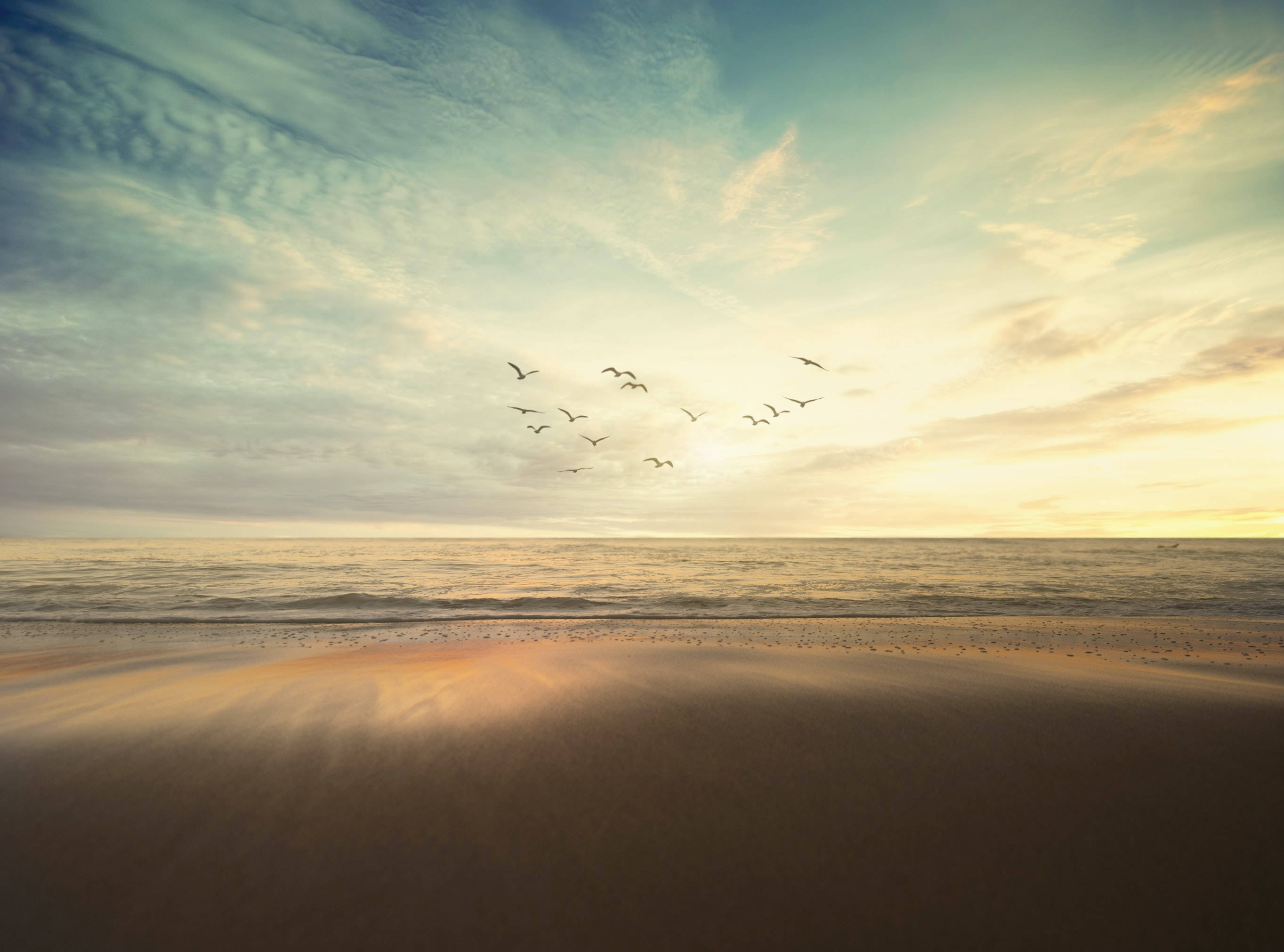 Birds Flying Wallpaper