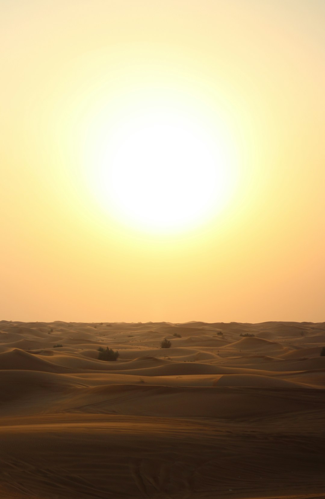 Desert Sun Picture Wallpaper