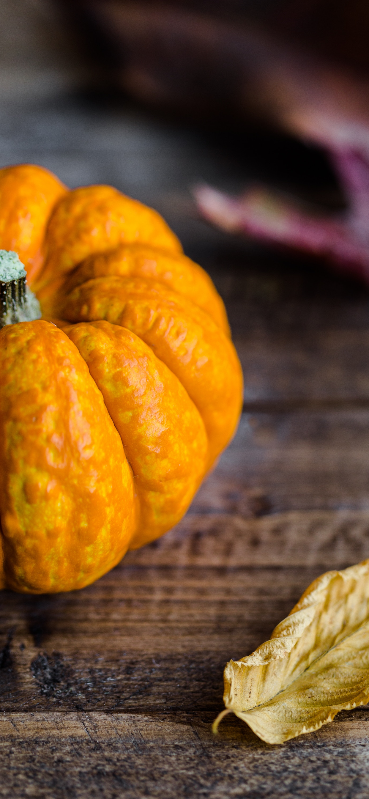 Pumpkin Wallpaper For iPhone