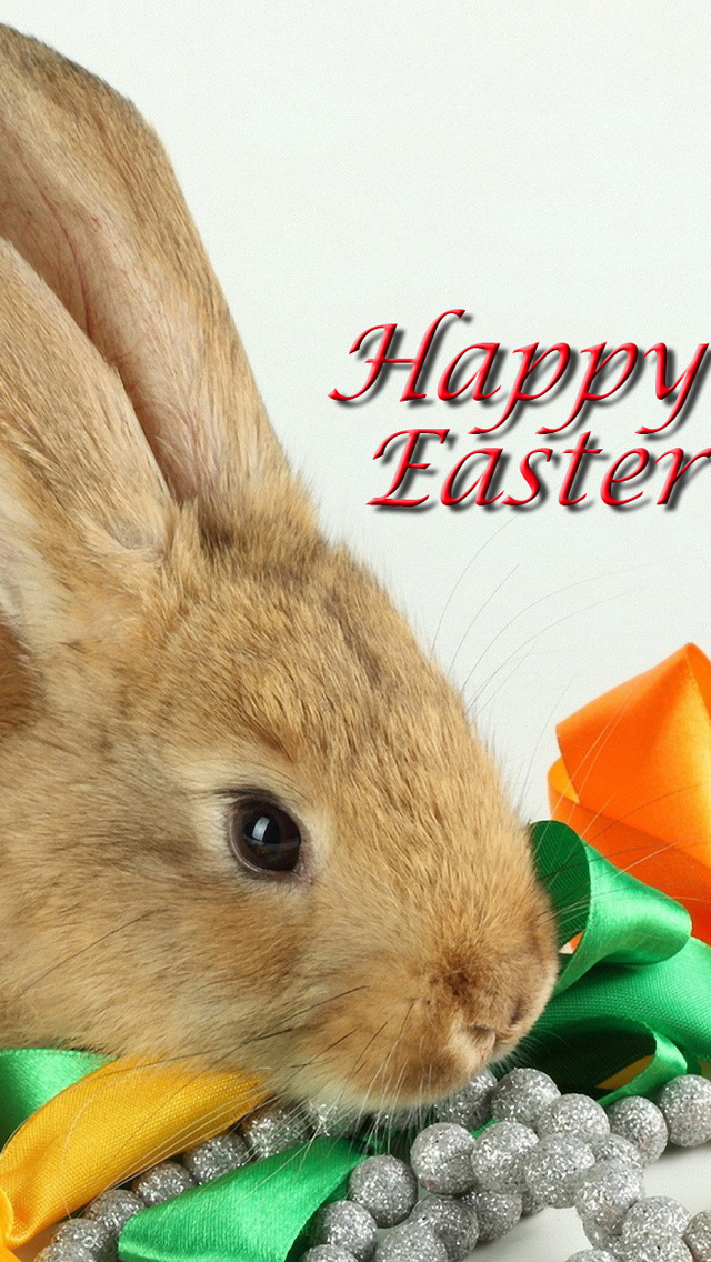 Cute Easter Bunny Wallpaper Free download lovely easter