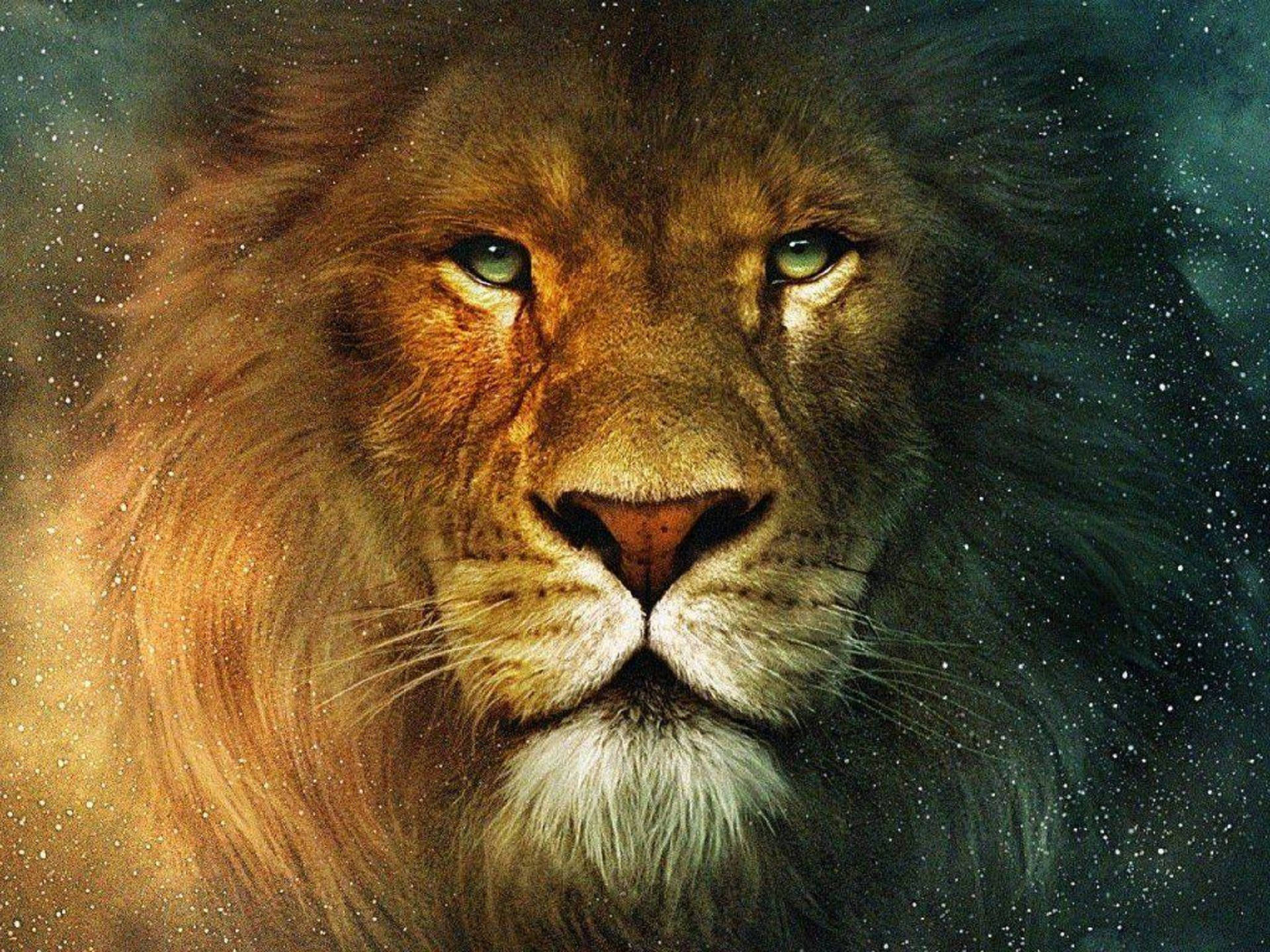 Top Lion Head Wallpaper Full HD 4k To Use