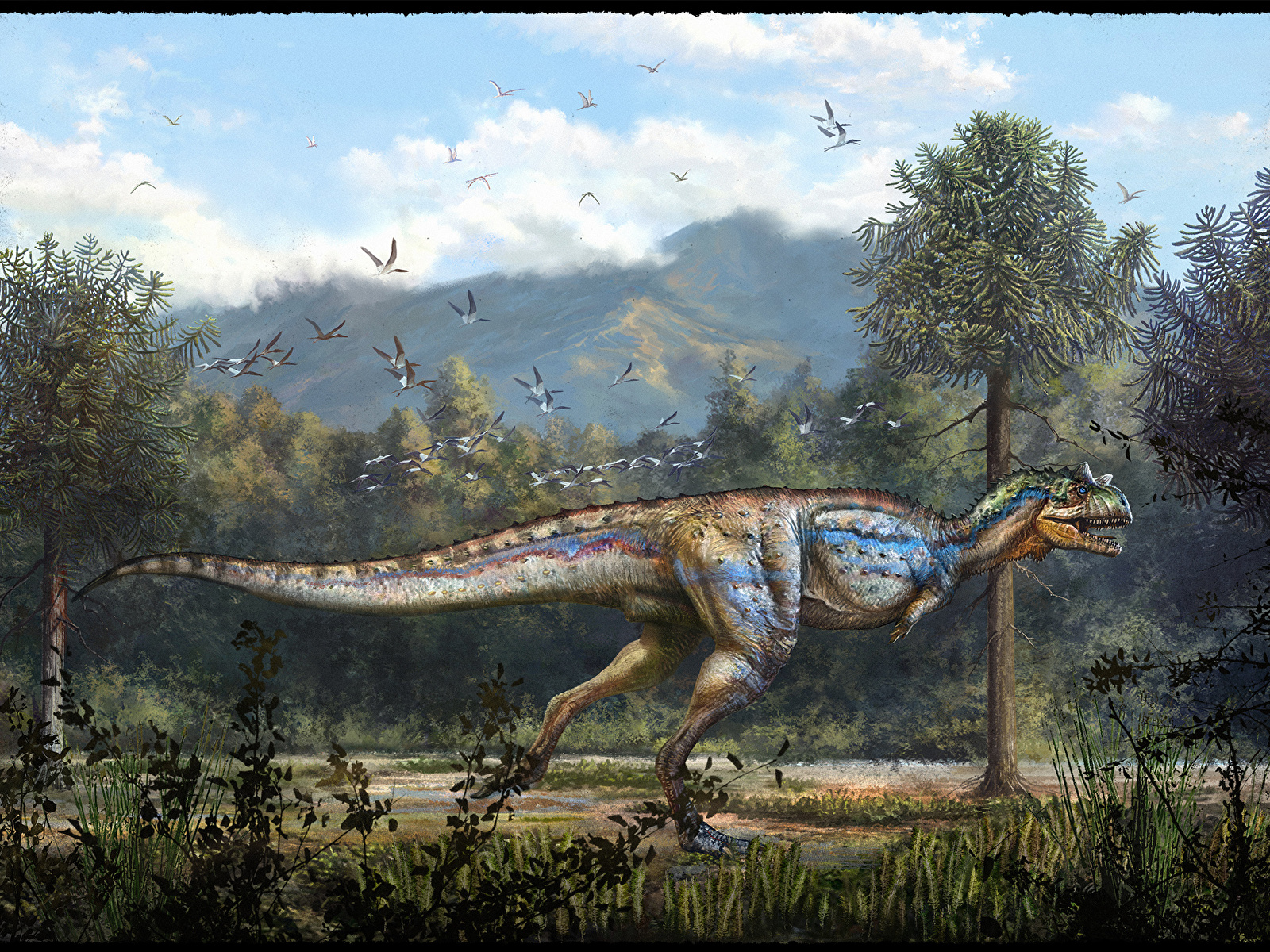 Wallpaper Dinosaurs Carnotaurus Animals Painting Art