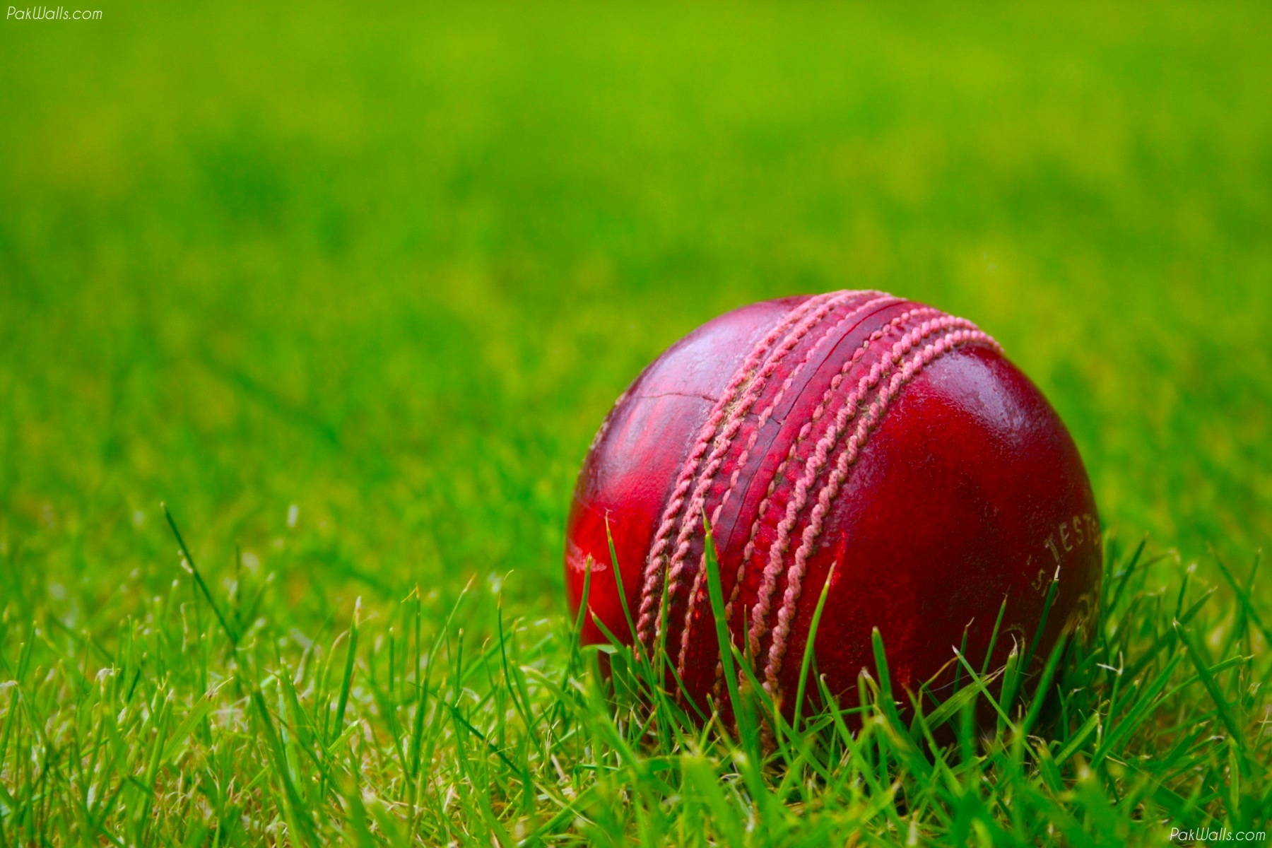 Fresh Cricket Image xhf79 Quality Hd Wallpaper