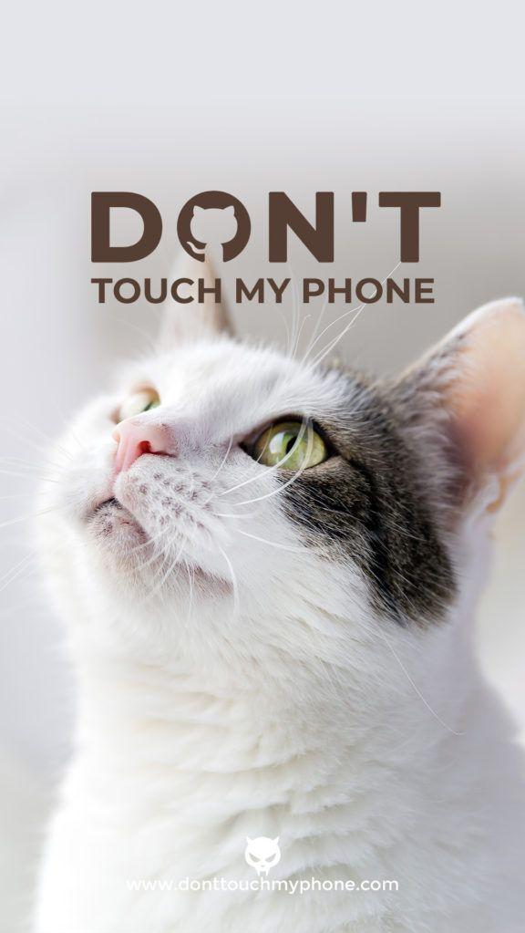 Don T Touch My Phone Cute Cats Wallpaper Dont