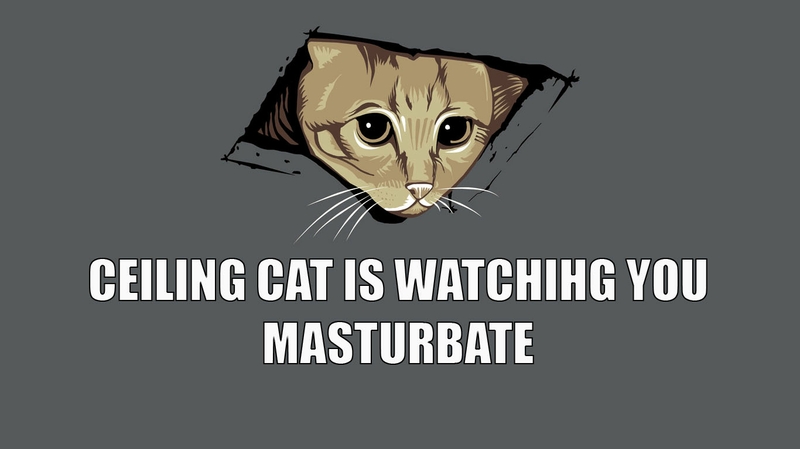 Meme Ceiling Cat Wallpaper Cats Desktop