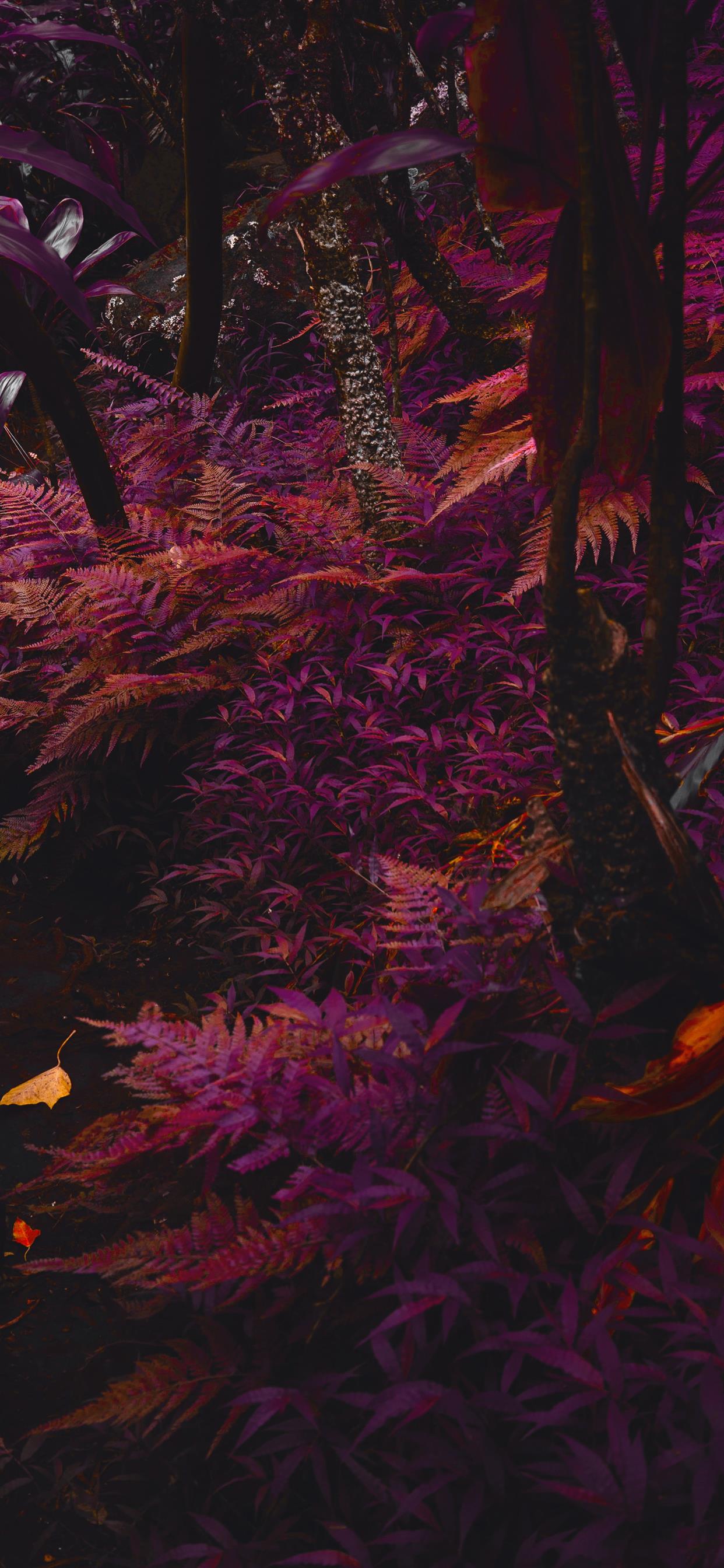 Purple Tree Wallpaper