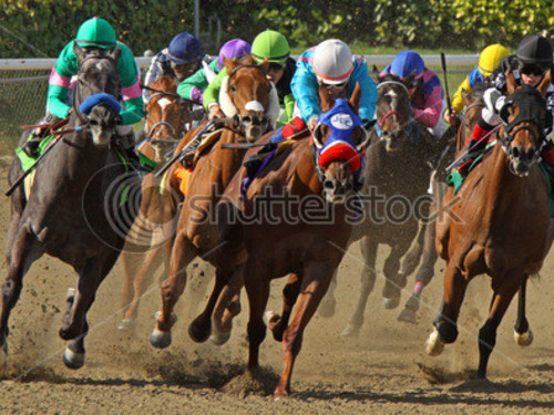 download kentucky derby race enjoy kentucky derby race and pictures