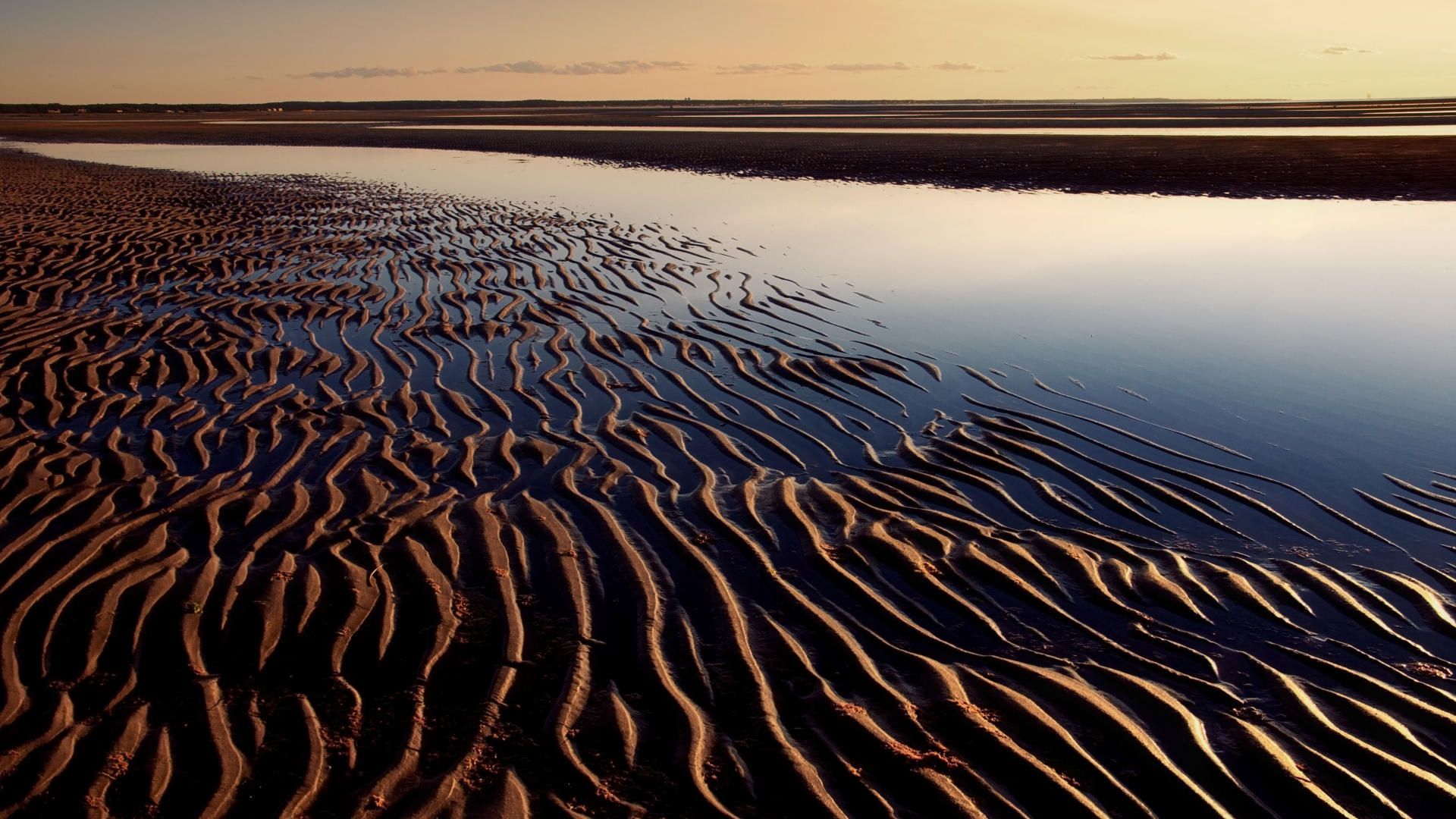 Nature First Encounter Beach Eastham Cape Cod Massachusetts