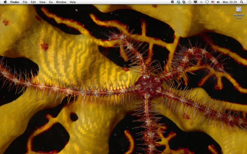 Liquid Desktop Live Wallpaper Mac