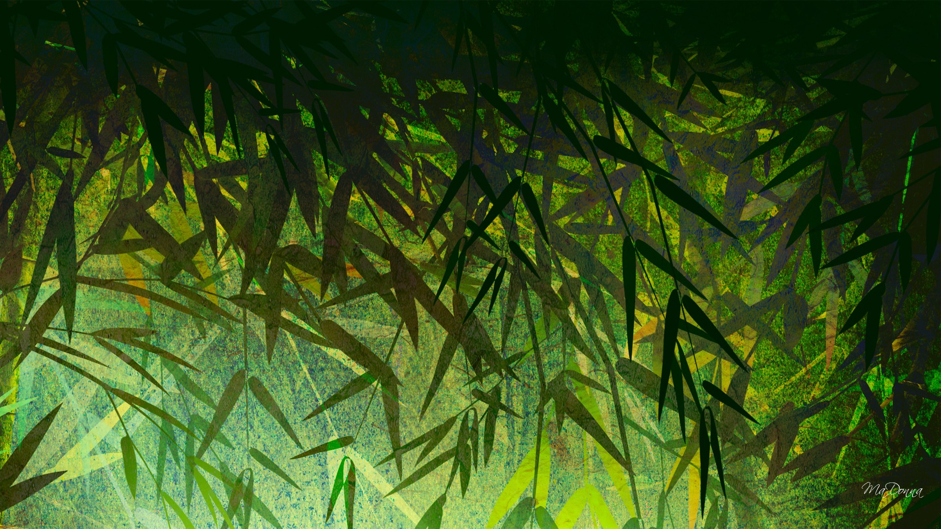 Bamboo Wallpaper HD