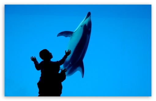 Children And A Dolphin HD Desktop Wallpaper High Definition