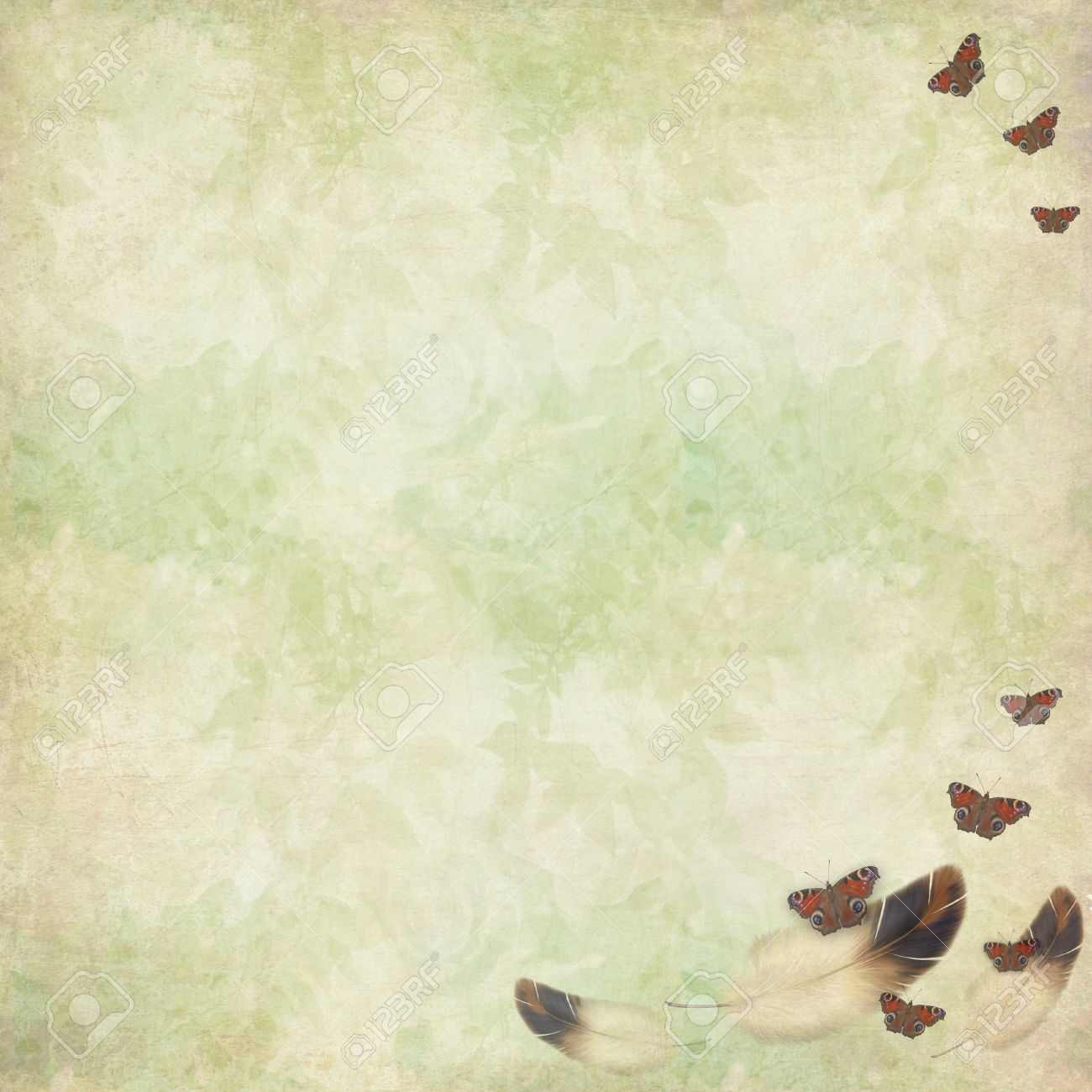 Vintage Grunge Wallpaper With Butterflies And Feathers Swirling