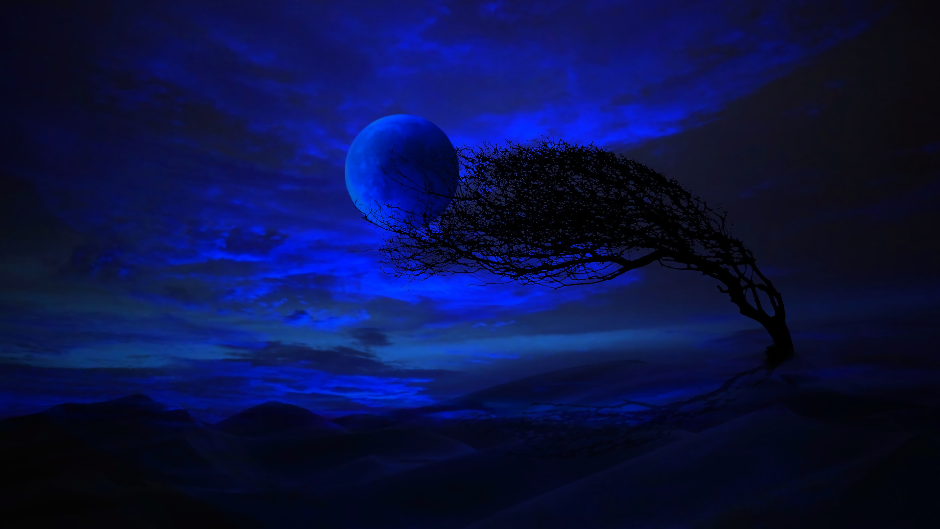 Blue Moon Night HD Wallpaper Background Image