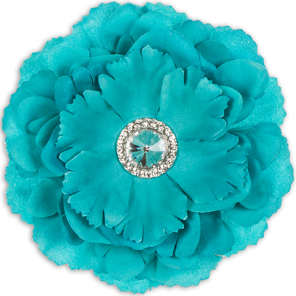 🔥 [50+] Blue Zebra Locker Wallpapers WallpaperSafari