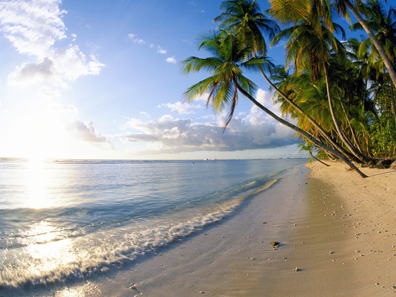 Summer Beach Wallpaper For Desktop