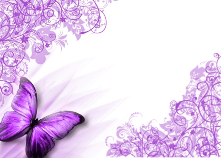 Purple Butterfly Wallpaper Butterflies Photo