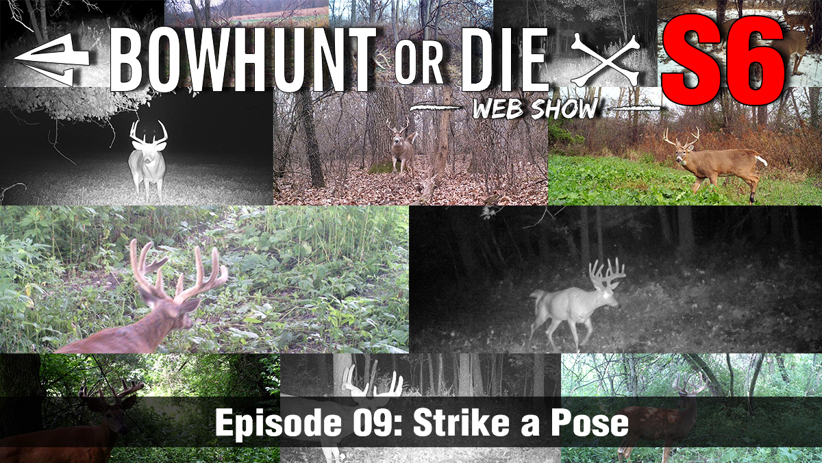Season Episode Strike A Pose Bowhunt Or Die