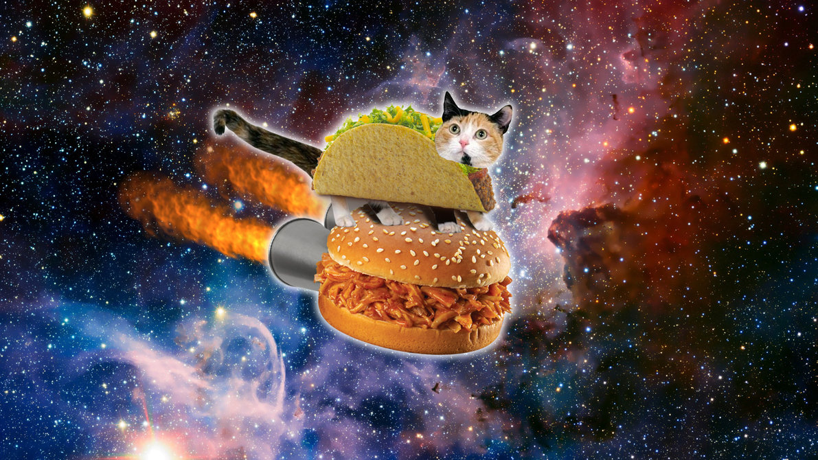Taco Cat In Space Spacepizzadelight