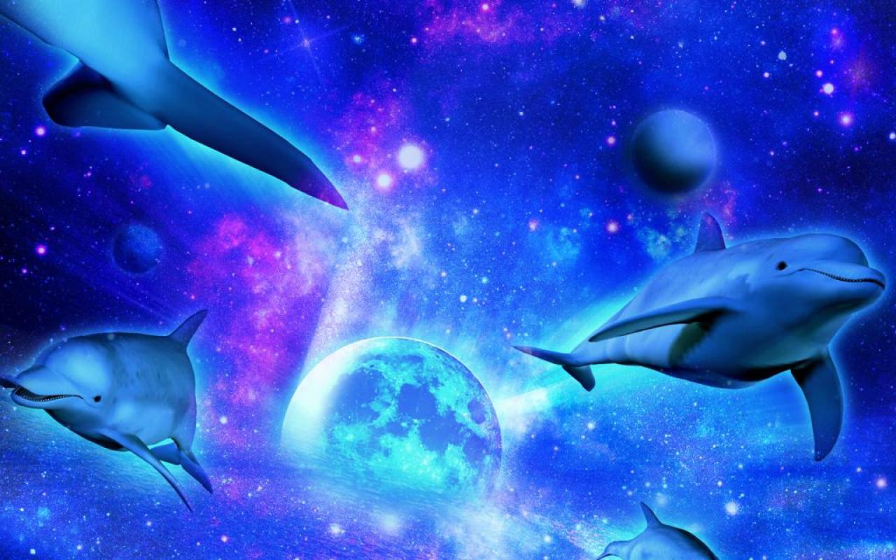 Mystical Dolphins High Quality And Resolution Wallpaper
