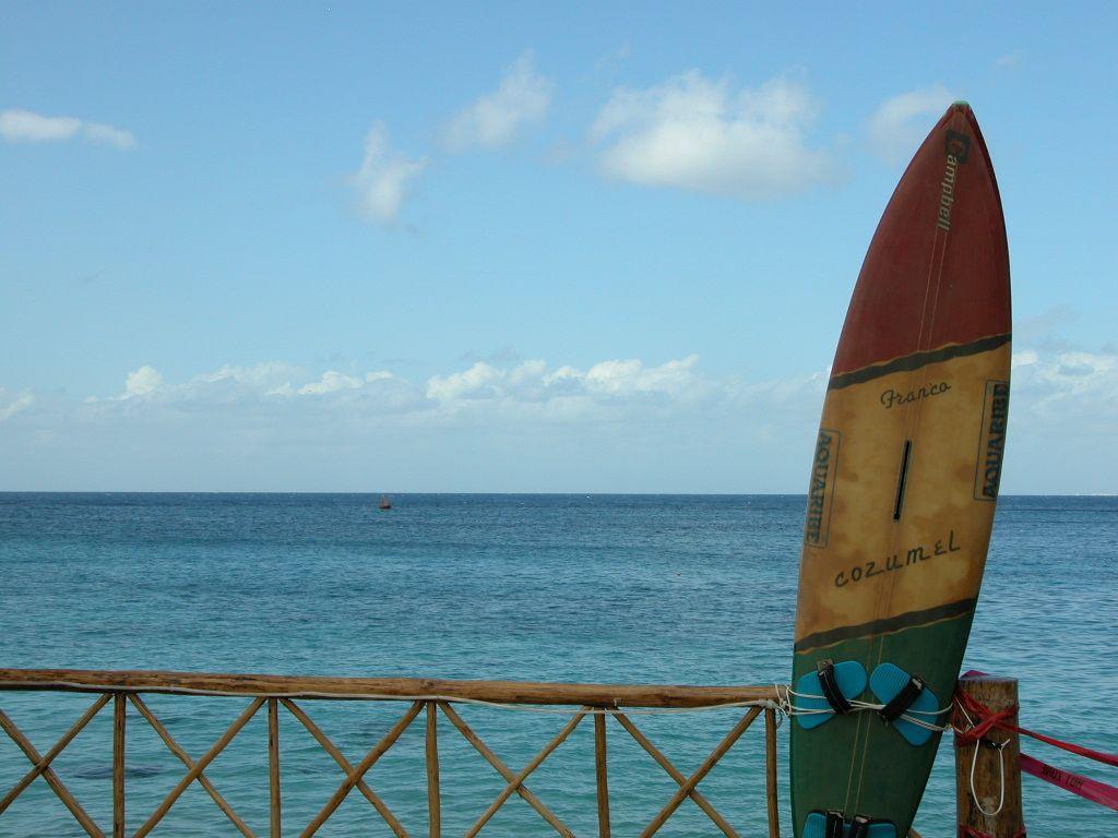 Wallpaper Water Surfboard Surfing Happy Surfing Equipment Background   Download Free Image