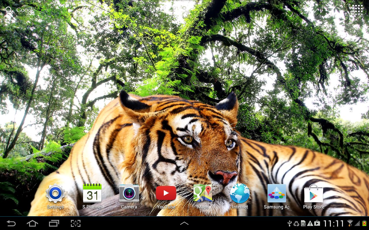 Live Tiger Wallpaper HD Wide