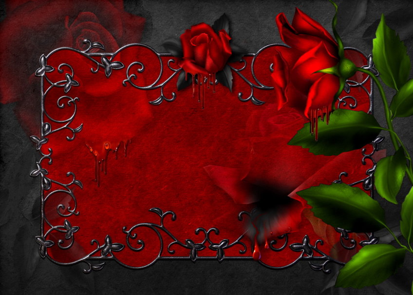Sang Rose Rouge Wallpaper