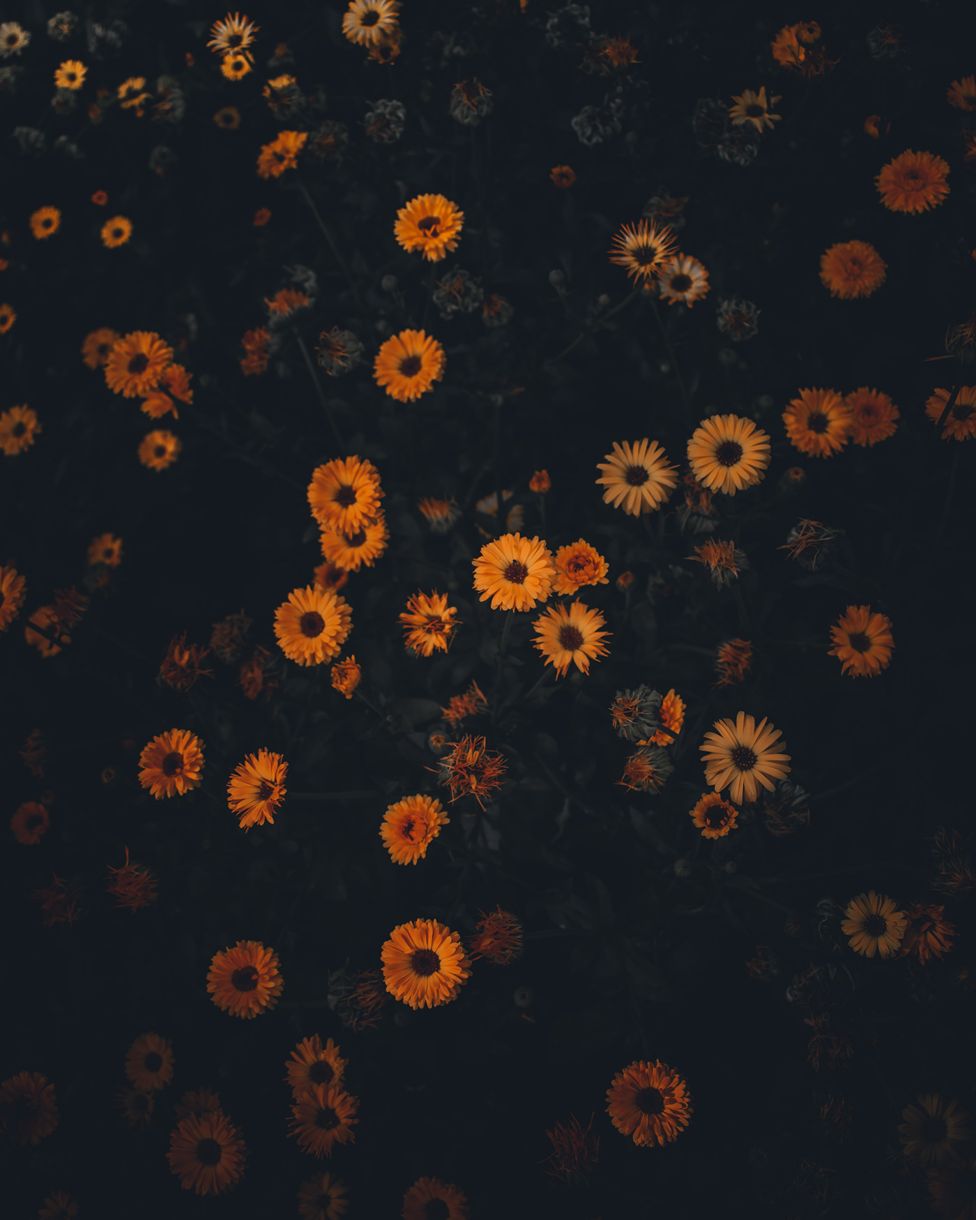 Moody On Wallpaper