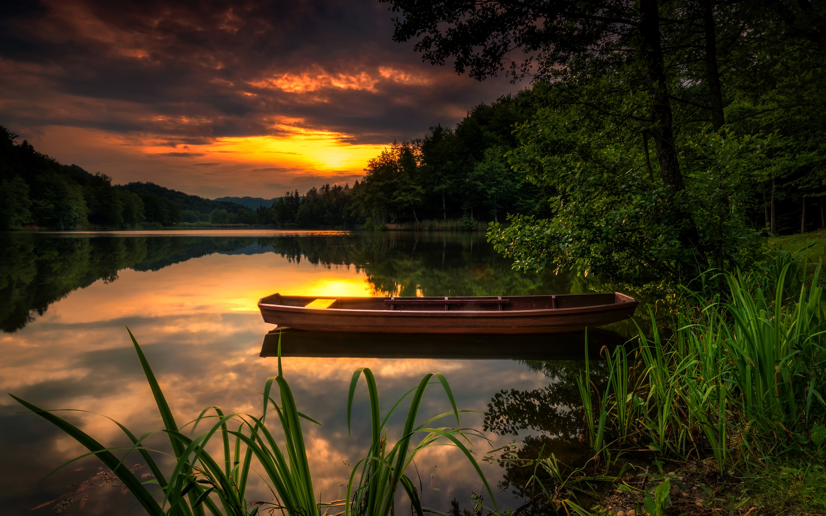 Rowboat Surrounded By Nature HD Wallpaper Background Image