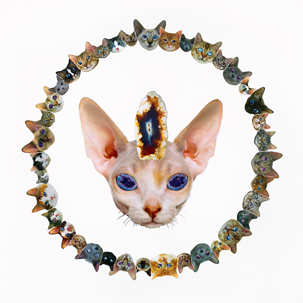 Catatonic On Wallpaper