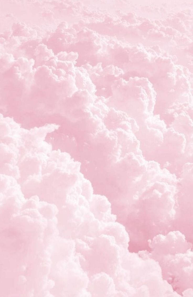 Top Plain Pink Wallpaper Full HD 4k To Use